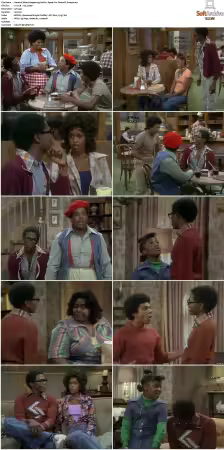 Whats Happening S01-S03 DVDRip XviD-NGP