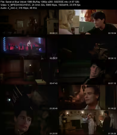 Blue Velvet 1986 BluRay 1080p x265 -SSDSSE