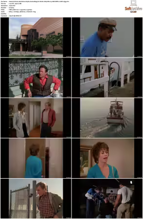 Simon and Simon S01-S08 1080p Blu-ray 10Bit DDP2.0 HEVC-d3g