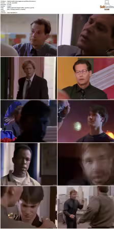 Walker Texas Ranger S01-S09 DVDRip XviD-Mixed