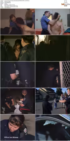 To Serve and Protect aka Under Arrest S01 S08 NF WEB-DL DDP2.0 x264-BTW