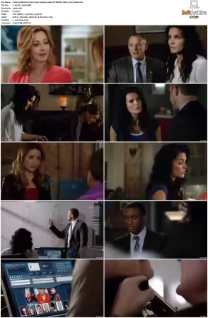 Rizzoli and Isles 2010 S01-S07 1080p NF WEB-DL DDP5.1 AV1-Vialle