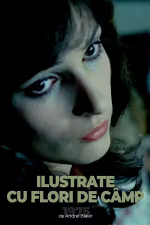 Ilustrate Cu Flori De Camp 1975 1080p WEBRip H264-World