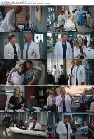 Greys Anatomy S22E14 Wrecking Ball 1080p AMZN WEB-DL DDP5 1 H 264-Kitsune
