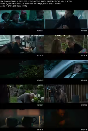 Blacklight 2022 1080p FDNG WEB-DL DDP 5.1 H264-PiRaTeS