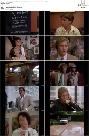 Simon and Simon S01-S08 1080p Blu-ray 10Bit DDP2.0 HEVC-d3g