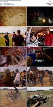 Viva La Bam 2003 S01 S05 DVD AAC H264 PiTBULL