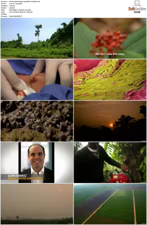 VICE S03 720p HDTV x264-BATV