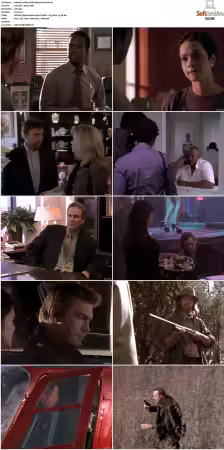 Walker Texas Ranger S01-S09 DVDRip XviD-Mixed