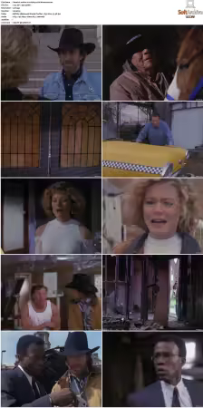Walker Texas Ranger S01 S09 DVDRip XviD-Mixed
