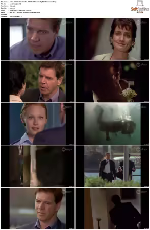 Water Rats S01-S06 WEB-DL AAC2.0 H264-BTN