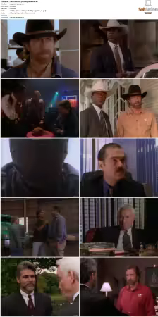 Walker Texas Ranger S01 S09 DVDRip XviD-Mixed