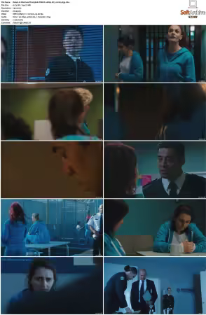 Wentworth S01 S09 1080p WEB h265-d3g