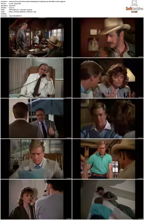 Simon and Simon S01-S08 1080p Blu-ray 10Bit DDP2.0 HEVC-d3g