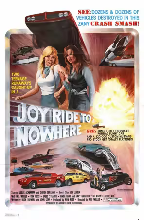 Joyride to Nowhere 1977 1080p WEB-DL HEVC x265 BONE