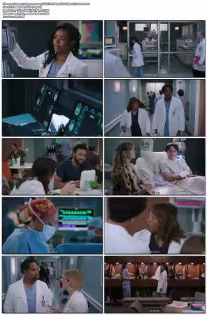 Greys Anatomy S22E11 1080p HEVC Opus 5.1-Retr0