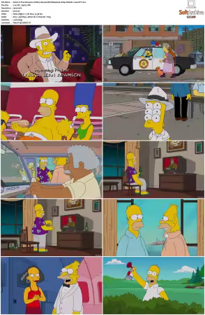 The Simpsons S28 1080p Web-DL x264-OFT