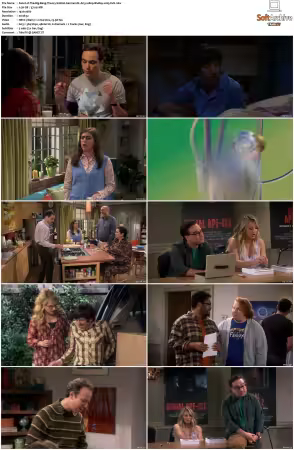 The Big Bang Theory S01-S12 German DL AC3 1080p BluRay x265-FuN