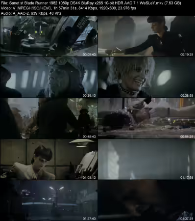 Blade Runner 1982 1080p DS4K BluRay x265 10-bit HDR AAC 7.1 WeSLeY
