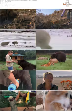 Unlikely Animal Friends S01 S03 1080p DSNP WEB-DL DD+5.1 H264-playWEB