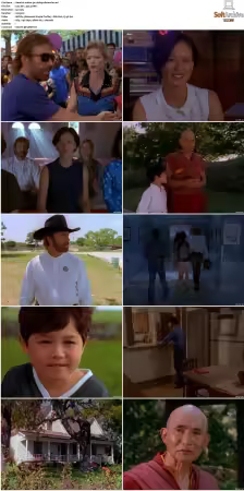Walker Texas Ranger S01 S09 DVDRip XviD-Mixed