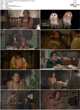 Yeh Meri Family S01 S04 1080p NF WEB-DL x264-MIXED