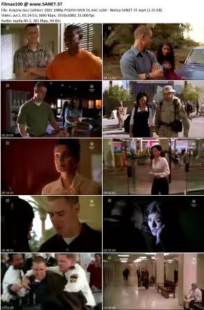 Księżniczka i żołnierz 2001 1080p POLISH WEB-DL AAC x264-NoGrp