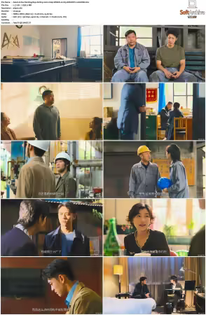 Our Dazzling Days S01 2026 2160p WEB-DL H 265 HDR DDP5.1-HHWEB