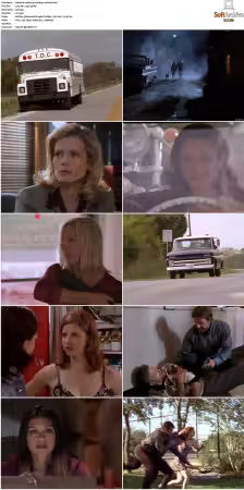 Walker Texas Ranger S01-S09 DVDRip XviD-Mixed