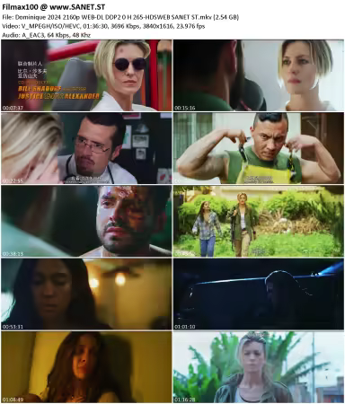 Dominique 2024 2160p WEB-DL DDP2.0 H 265-HDSWEB