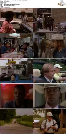 Walker Texas Ranger S01-S09 DVDRip XviD-Mixed