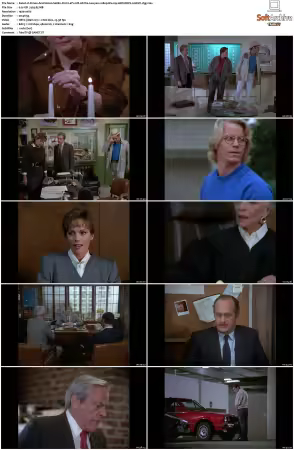 Simon and Simon S01-S08 1080p Blu-ray 10Bit DDP2.0 HEVC-d3g