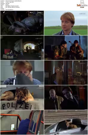 Kommissar Rex S01-S10 German 1080p HDTV x264-OMGtv