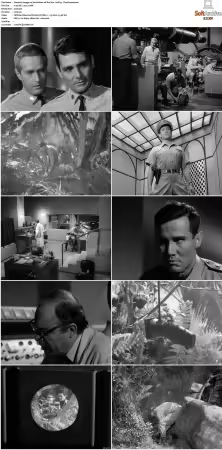Voyage to the Bottom of the Sea 1964-1968 S01 S04 DVDRip XviD-NOGRP