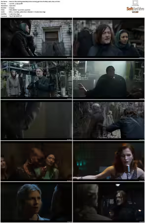 The Walking Dead Daryl Dixon S01 German DL 1080p WEB x264-WvF