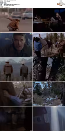 Walker Texas Ranger S01 S09 DVDRip XviD-Mixed