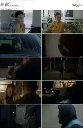 Umbre 2014 S01 S03 1080p HBO WEB-DL x265 x264 Romanian MIXED