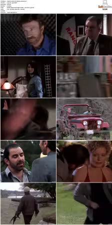 Walker Texas Ranger S01-S09 DVDRip XviD-Mixed