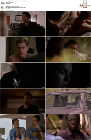 Graceland S01 S03 1080p WEB h264-NiXON