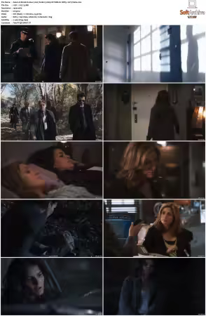 Rizzoli and Isles 2010 S01-S07 1080p NF WEB-DL DDP5.1 AV1-Vialle