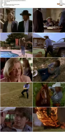 Walker Texas Ranger S01-S09 DVDRip XviD-Mixed