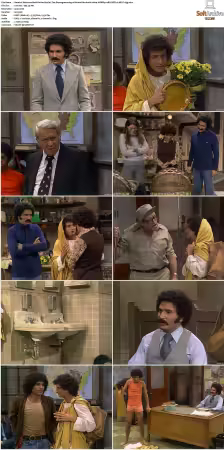 Welcome Back Kotter S01-S04 1080p WEBRip 10Bit DDP2.0 HEVC-d3g