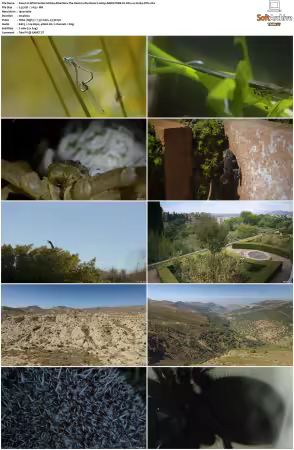 Wild Castles S01 1080p AMZN WEB-DL DDP2.0 H264-NTb