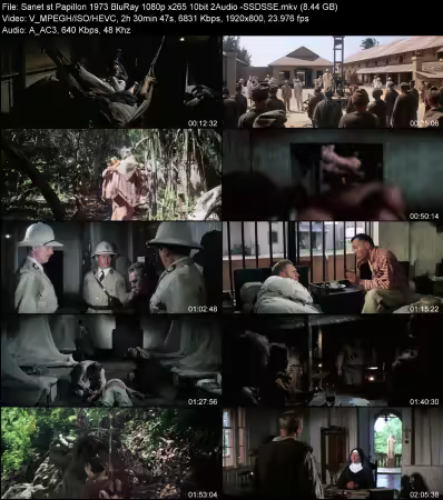 Papillon 1973 BluRay 1080p x265 10bit 2Audio -SSDSSE
