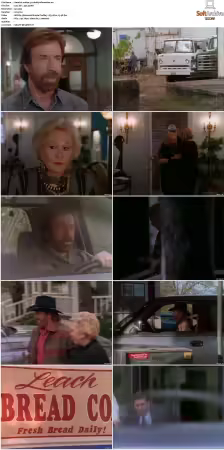 Walker Texas Ranger S01 S09 DVDRip XviD-Mixed