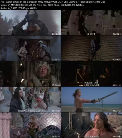 Conan the Barbarian 1982 1080p WEB-DL H265 DDP 2.0-PTerWEB