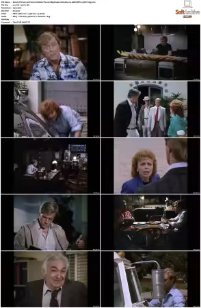 Simon and Simon S01-S08 1080p Blu-ray 10Bit DDP2.0 HEVC-d3g