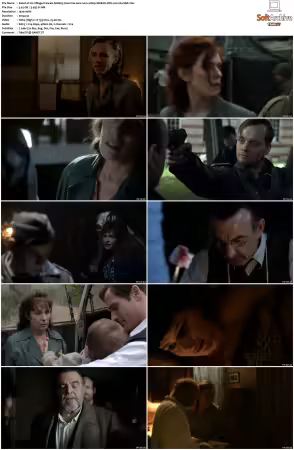 Un Village Francais S01 S07 1080p WEB-DL DD2.0 H264-SbR