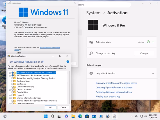 Windows 11 Pro 25H2 Build 26200.7922 (No TPM Required) Preactivated Multilingual