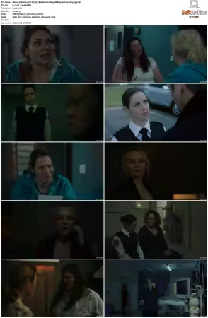 Wentworth S01-S09 1080p WEB h265-d3g